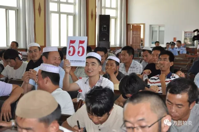 东乡县公务用车改革取消车辆拍卖会圆满举行