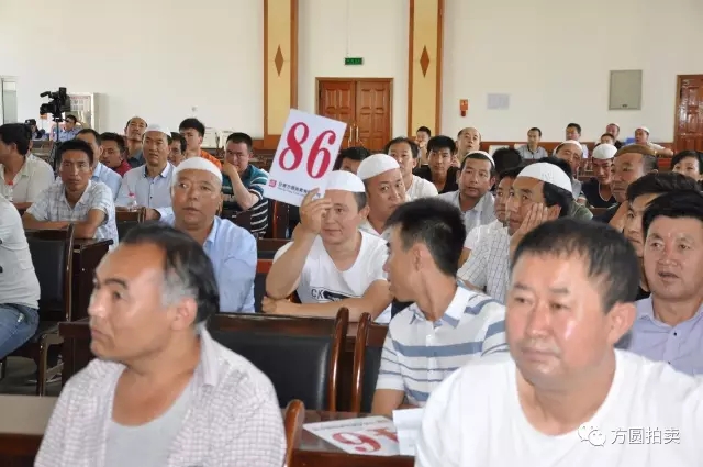 东乡县公务用车改革取消车辆拍卖会圆满举行