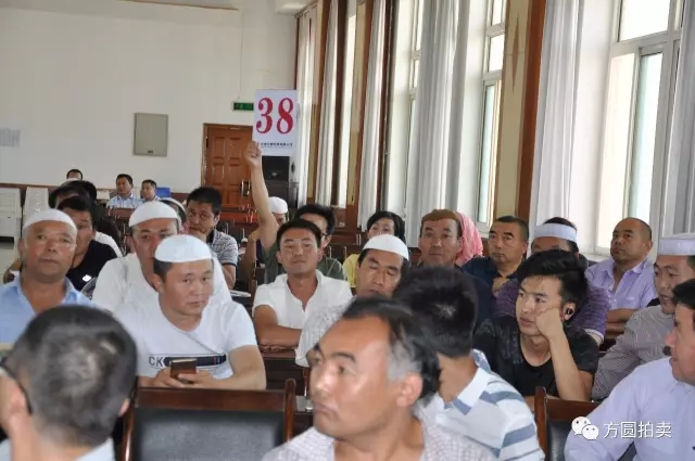 东乡县公务用车改革取消车辆拍卖会圆满举行